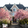 5 Ways Sellers Can Win Big in Spring 2025
